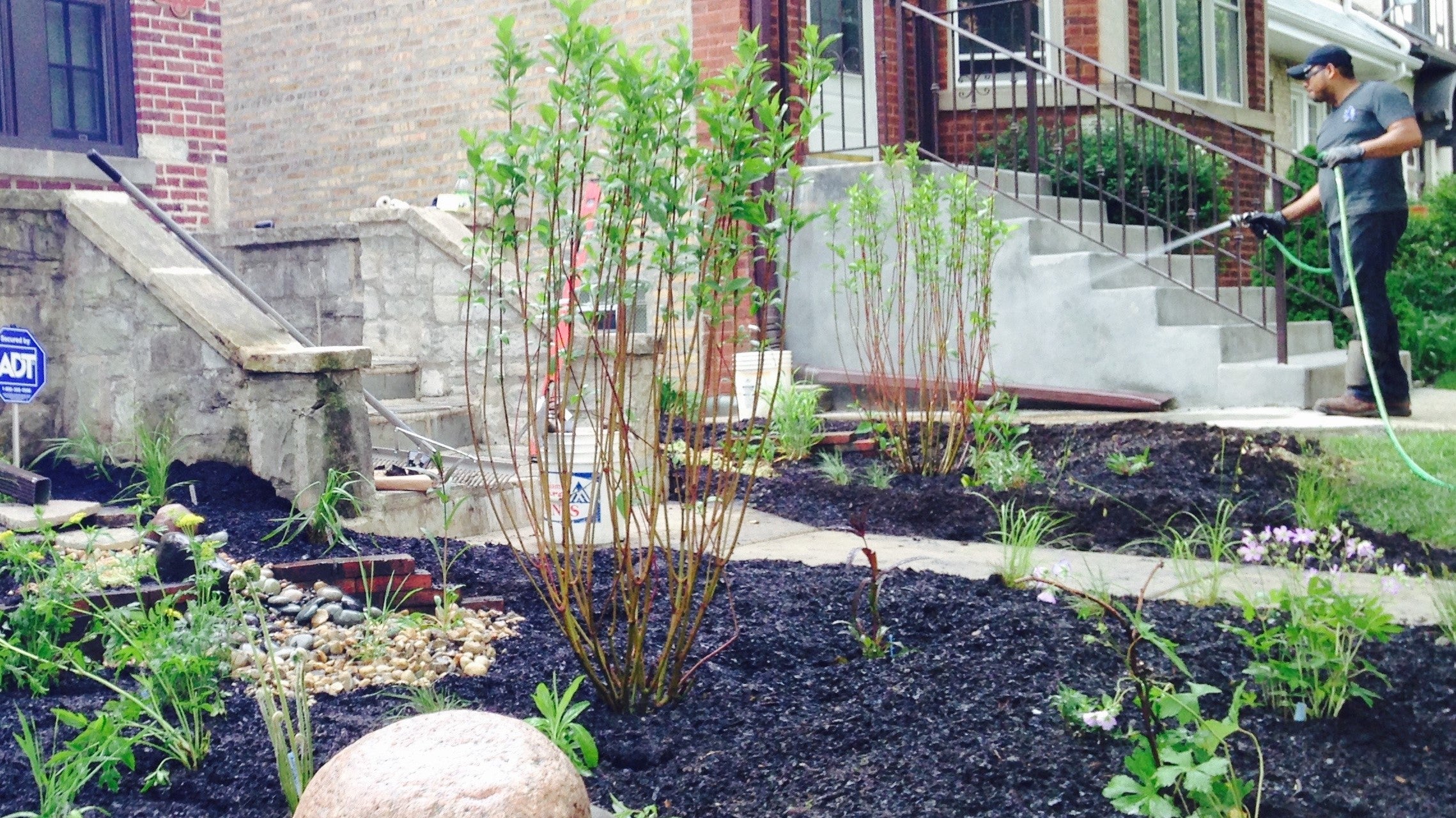 New Garden Watering Guide - Red Stem Native Landscapes