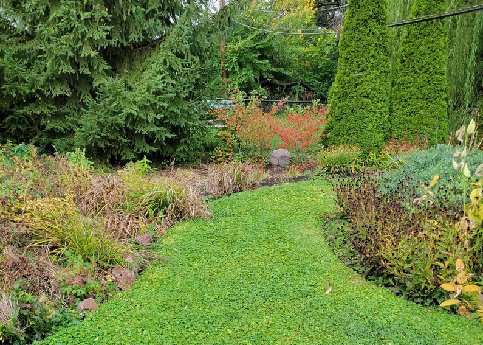 
                Why Fall Is the Perfect Time to Plant Native Plants
              