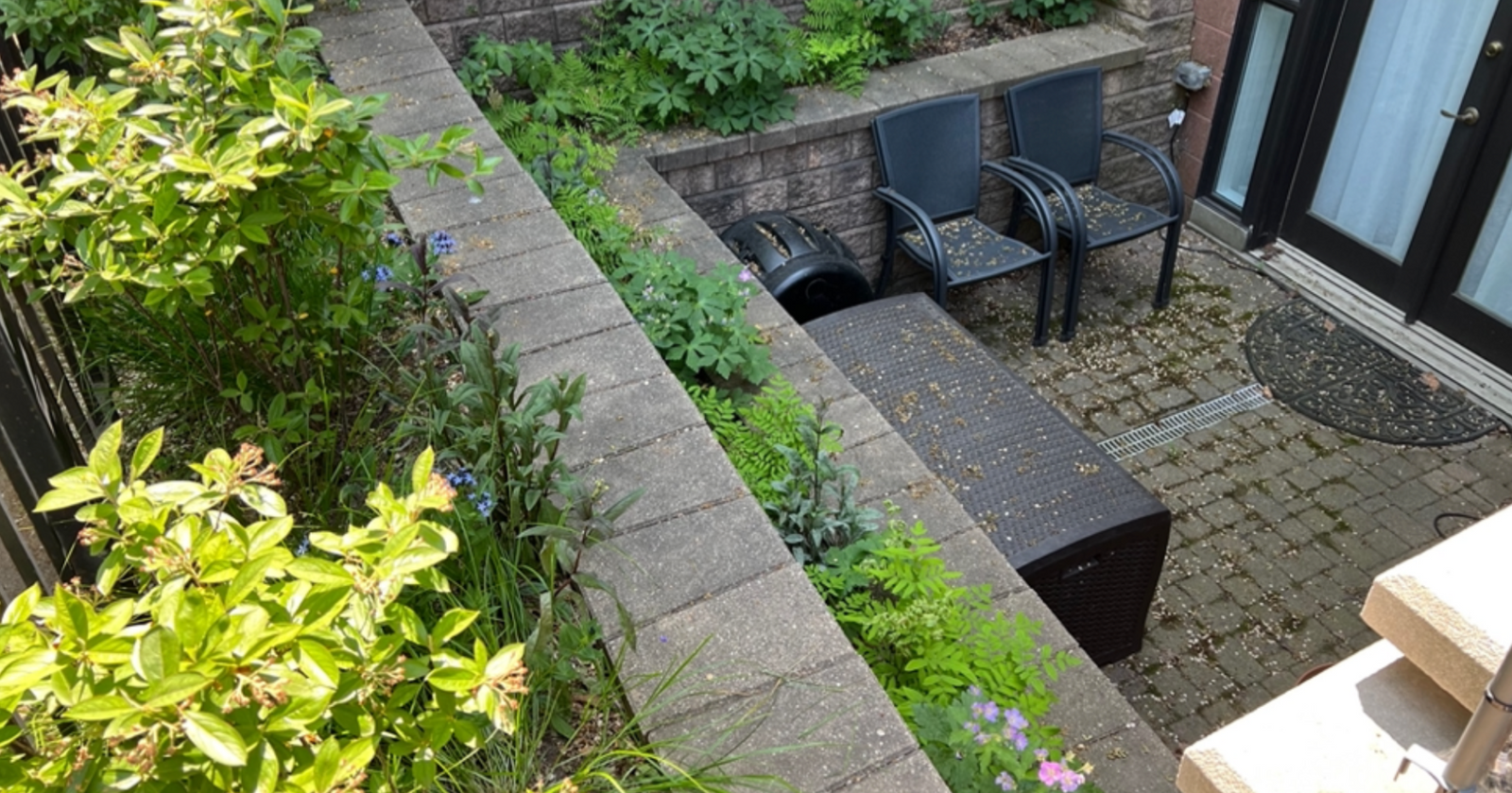 
                Gardening with Native Plants in Containers and Small Urban Gardens
              