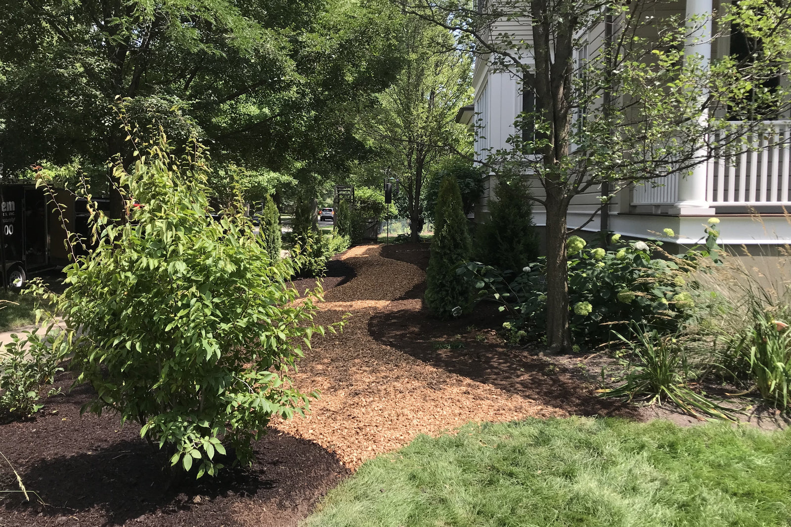 Front Yard with Native Plants