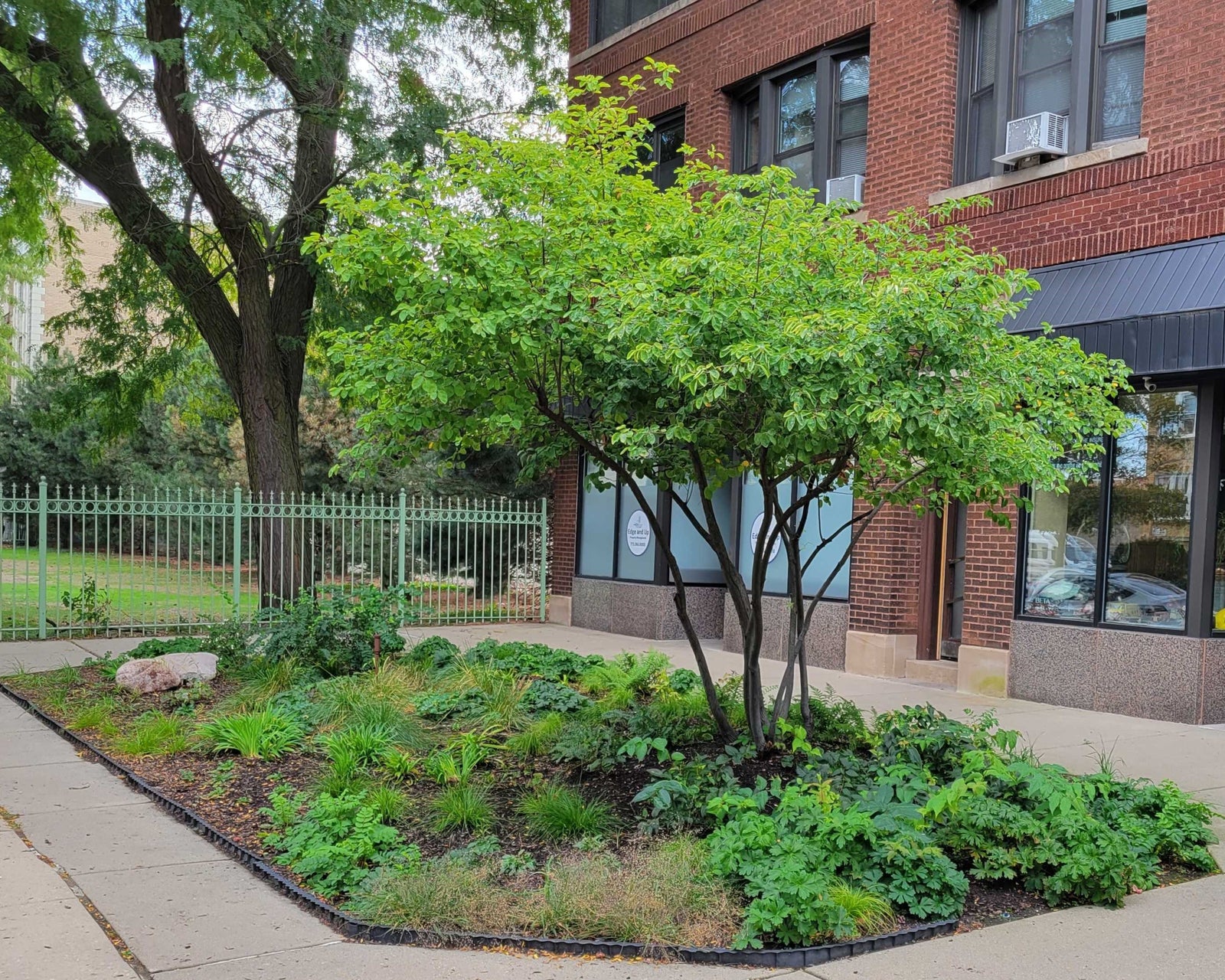 Native garden outside apartment building