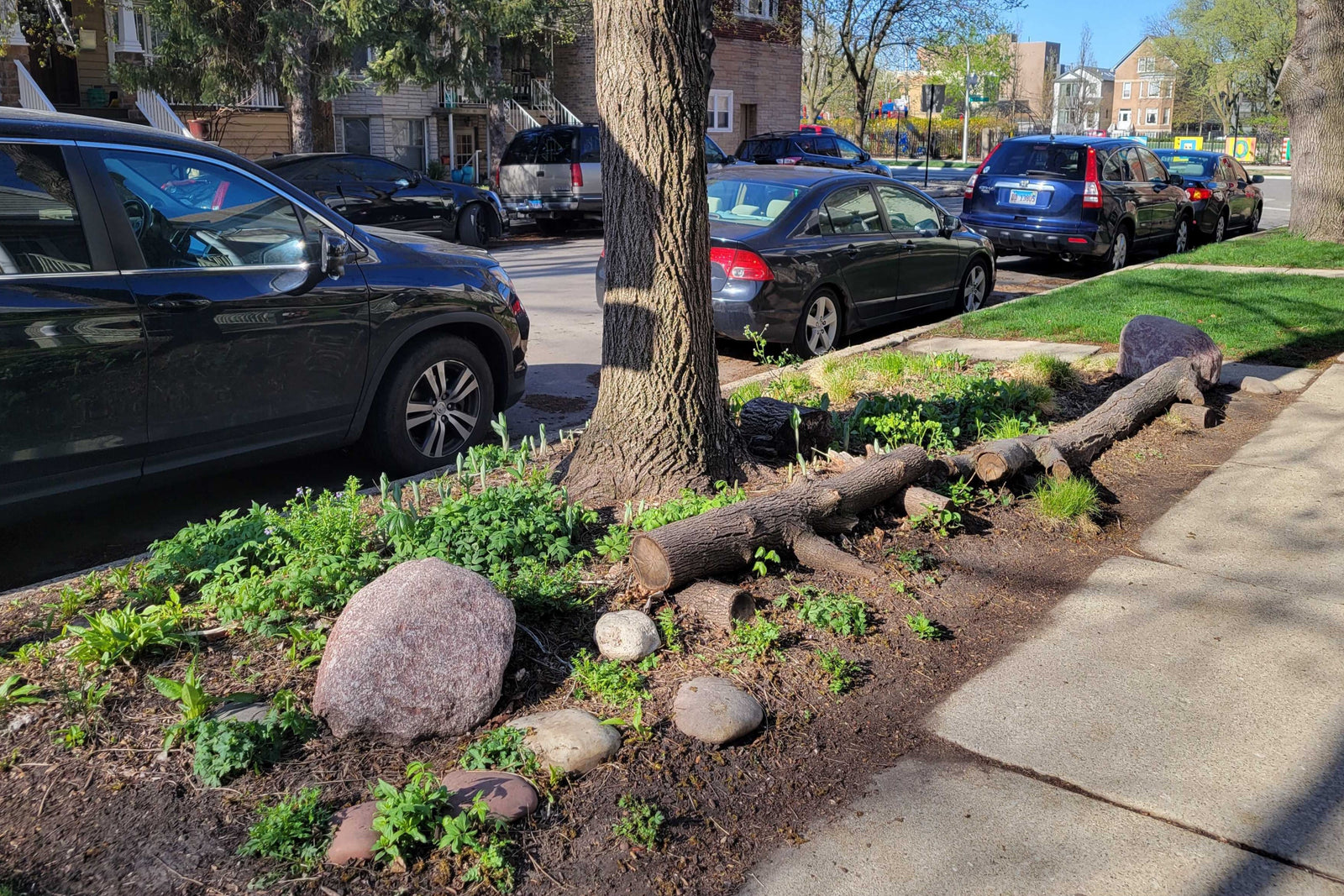 Native Plant Play Garden