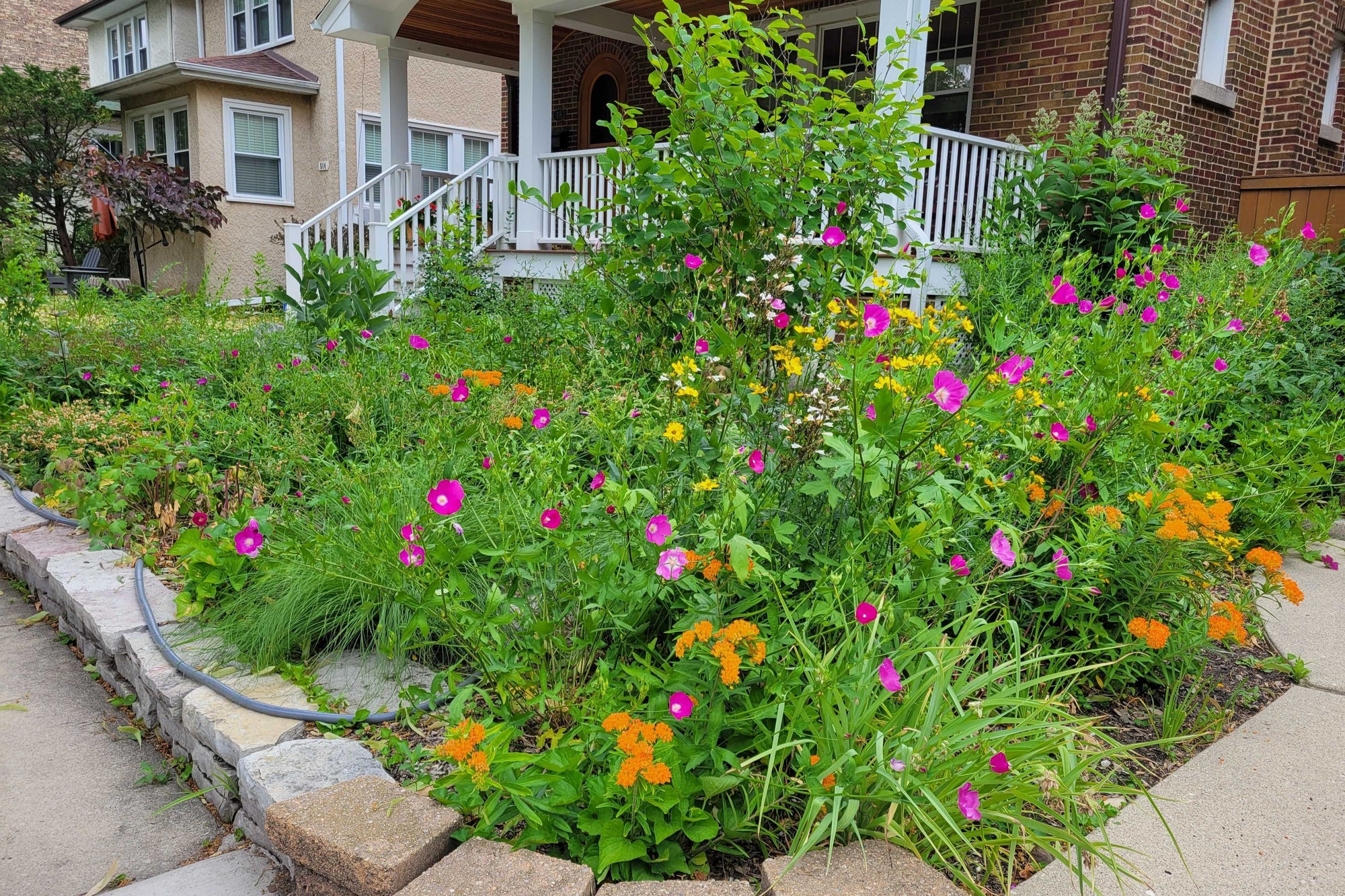 Native plant garden outside front porch