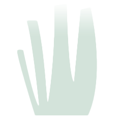 Green Stem favicon