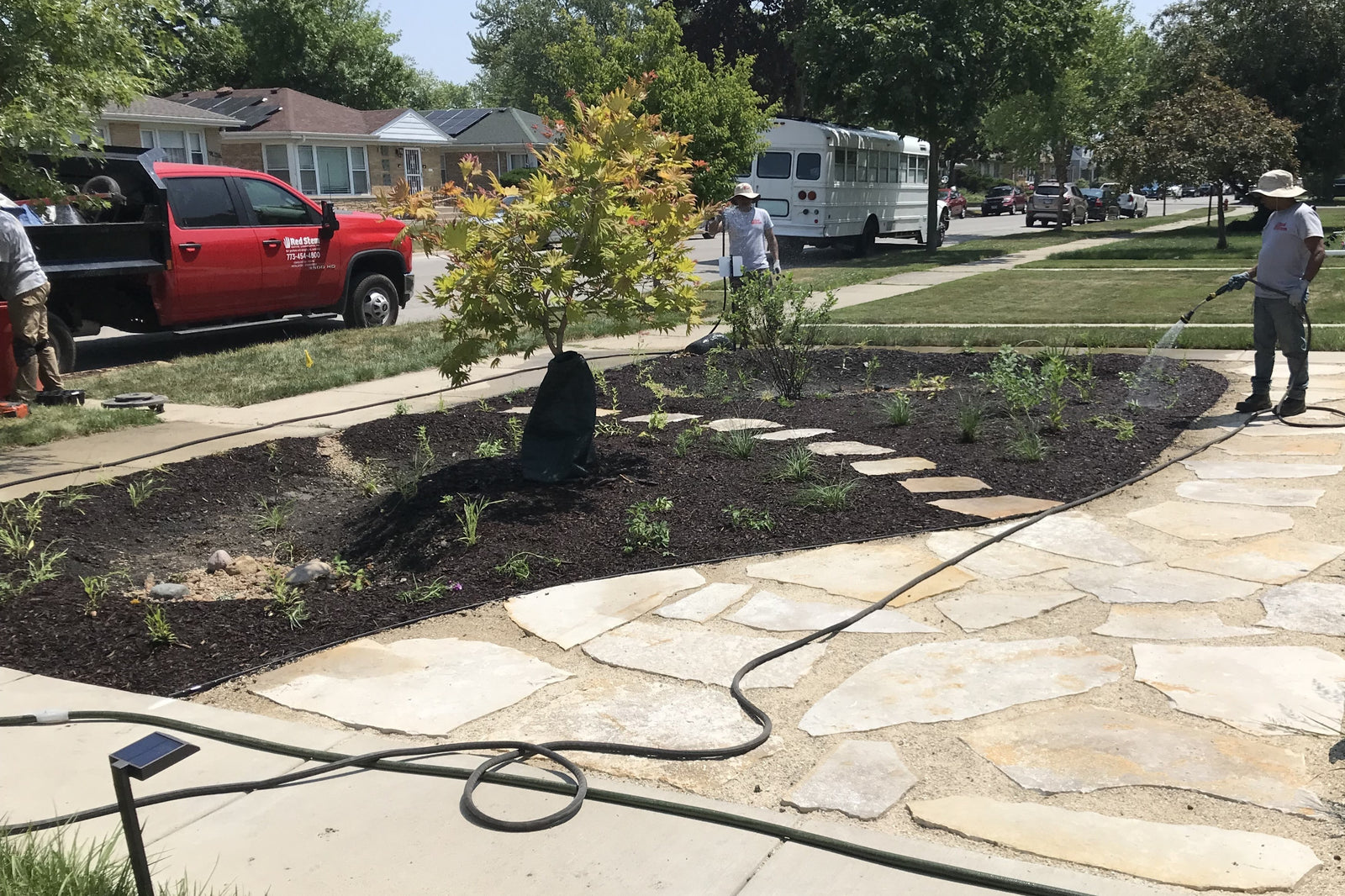 Native Plant Garden Install