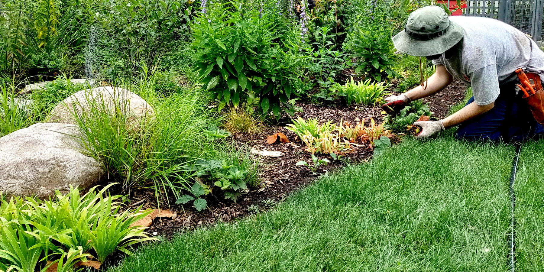 Gardener with Landscape Designer