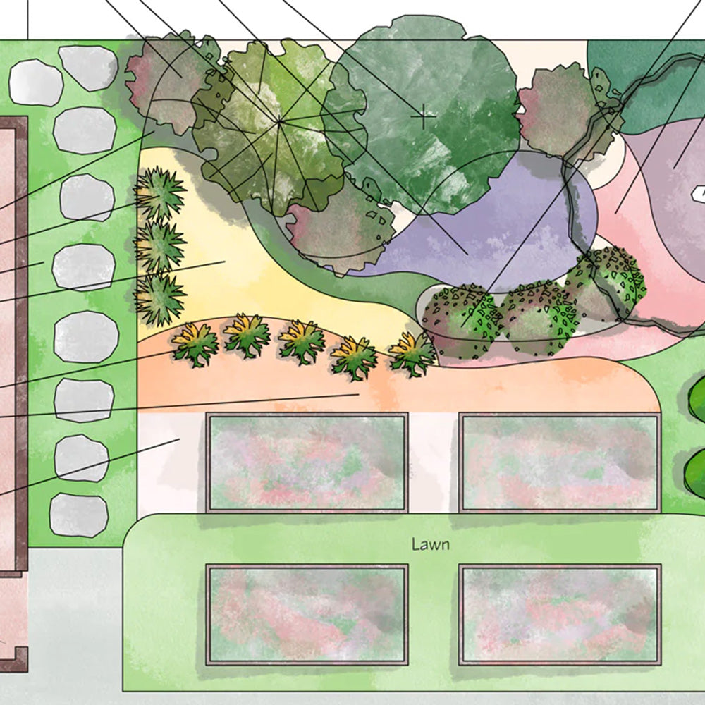 Native Plant Design Plans