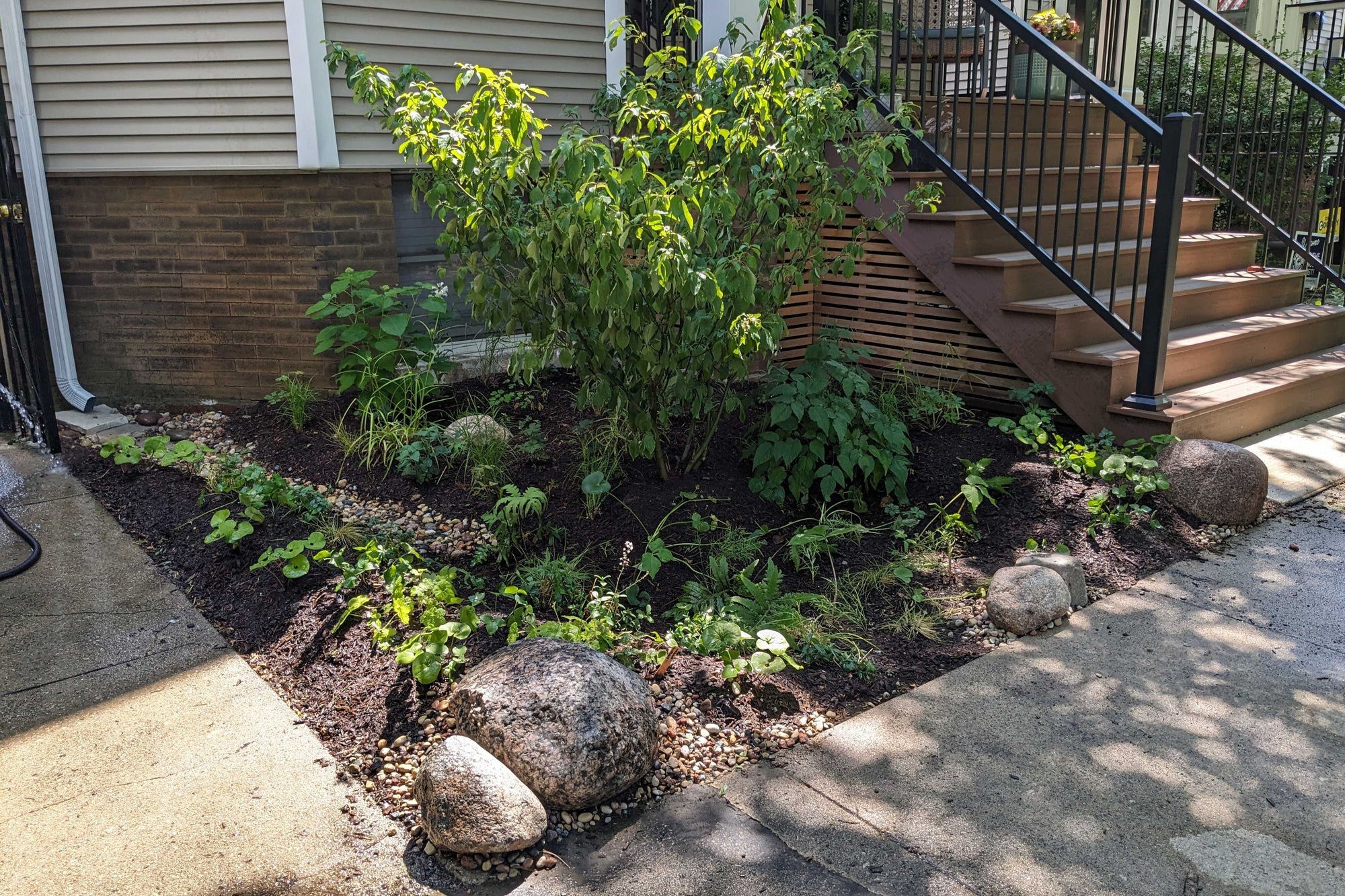 Native Plant Garden
