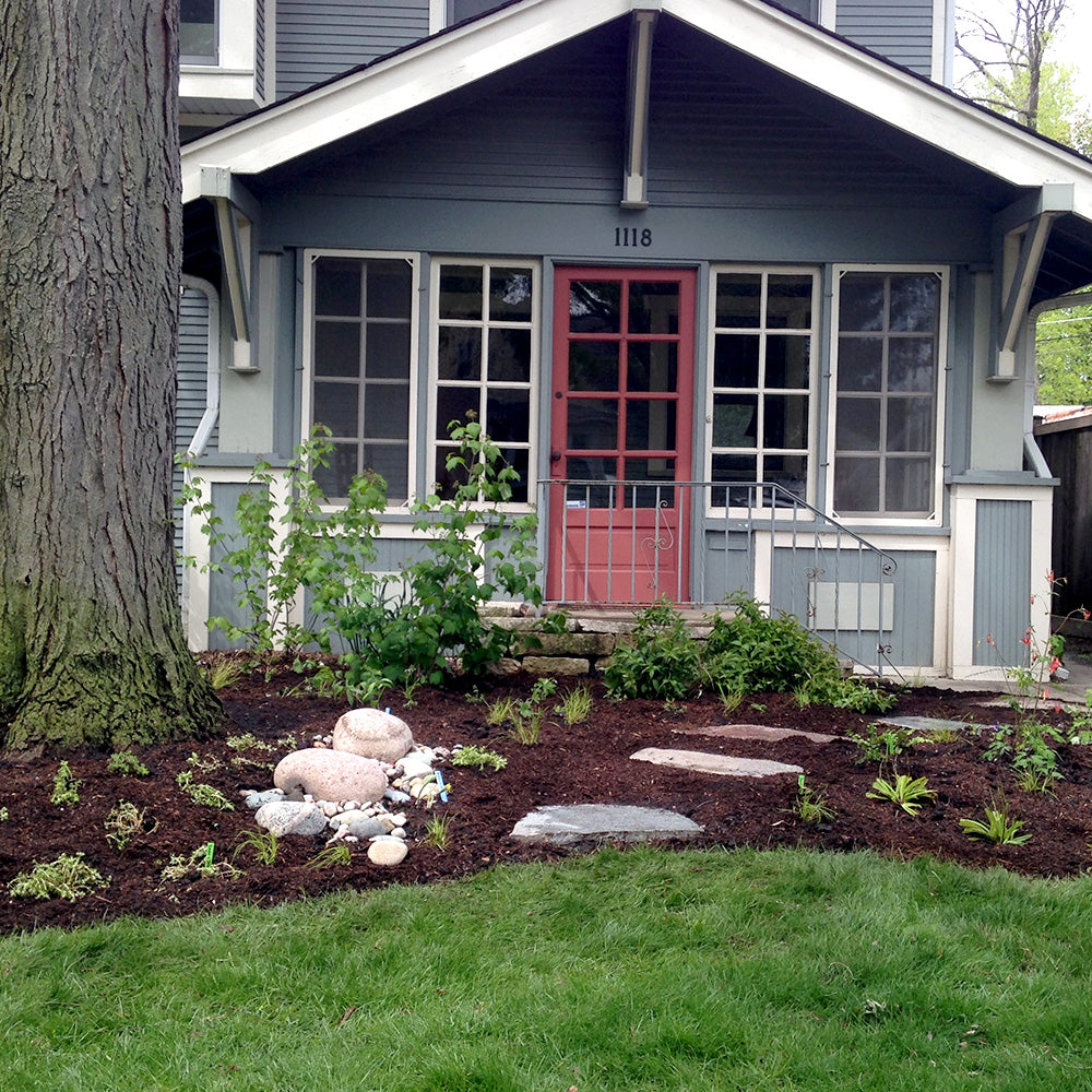 Shade Garden with Native Plants