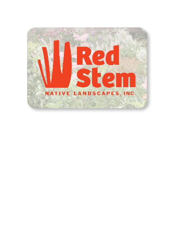 Red Stem Native Landscapes Gift Card - Red Stem Native Landscapes